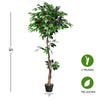 5.5-foot artificial ficus tree with two trunks and 756 leaves, perfect for home or office decor without maintenance.