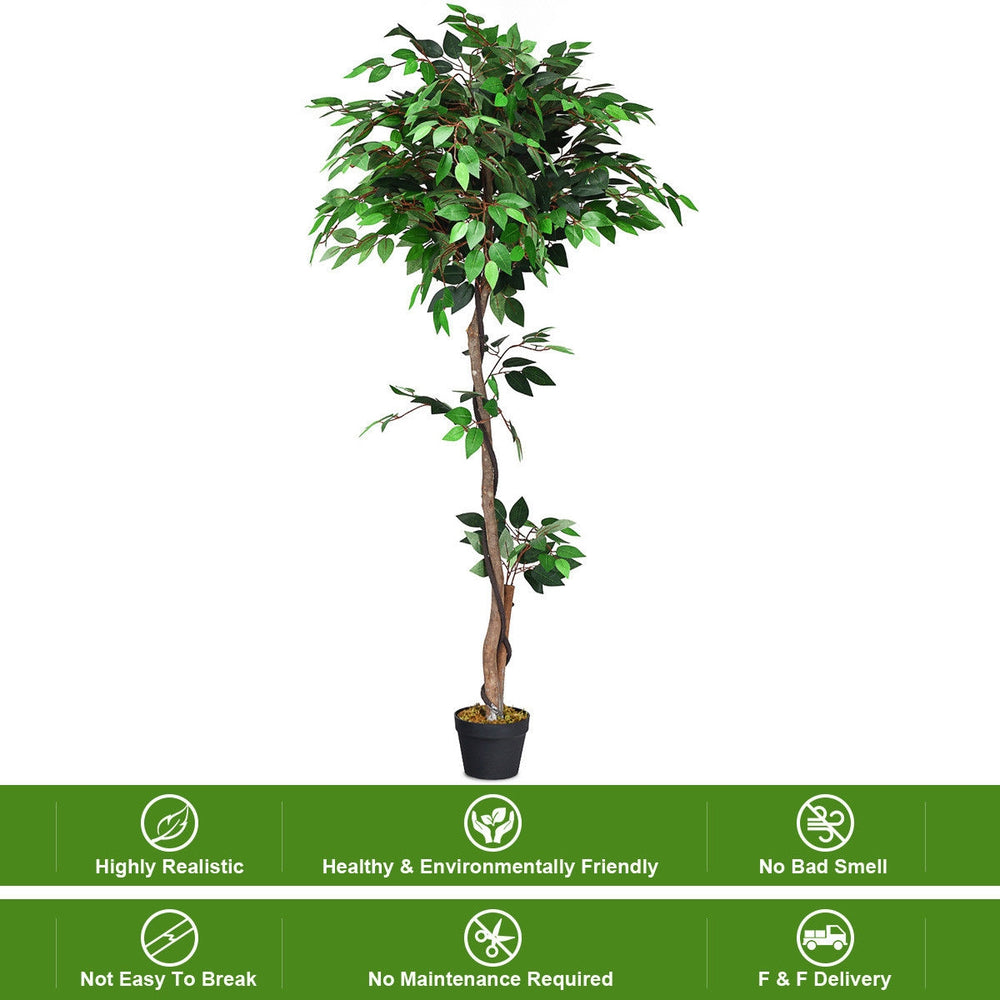 5.5 feet artificial ficus tree with realistic leaves and wood trunks, perfect for home or office decor without.