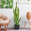 Artificial snake plant with slender, strong leaves and bright yellow edges, ideal for adding a touch of nature indoors.