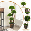 Decorative 3 feet artificial cedar topiary tree with rattan trunk, featuring realistic moss and a stable cement-filled.