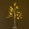 Pre-lit 2 feet white twig birch tree with 24 warm LED lights, perfect for holiday indoor decoration.