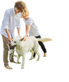 Synthetic turf mat with drainage holes, 1.4" pile height, pet-friendly for indoor and outdoor use.
