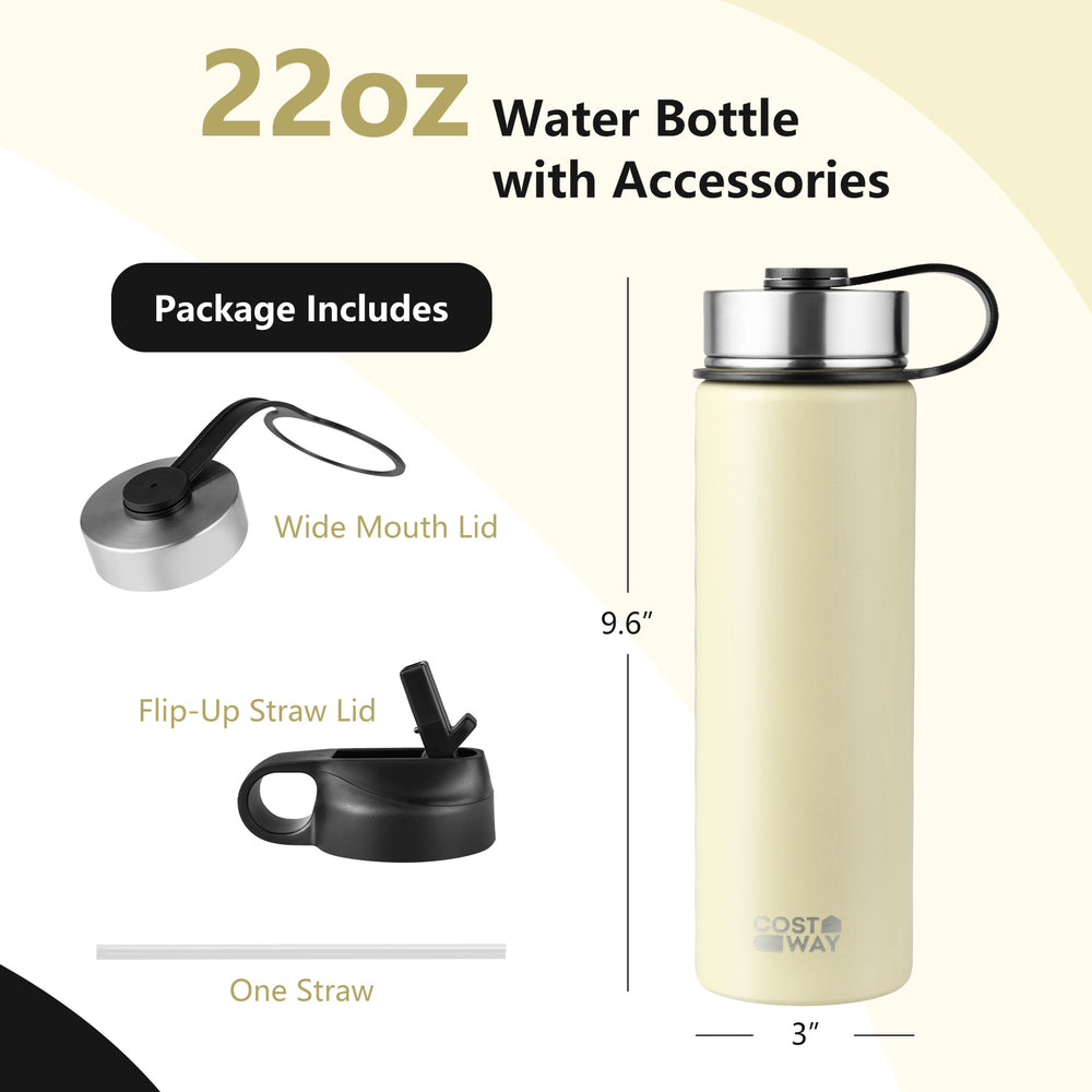 22 oz double-walled insulated stainless steel water bottle in beige with wide mouth lid, flip-up straw lid, and straw.