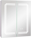 2 Doors Bathroom Mirror Medicine Wall Cabinet with Lights