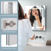 Double-sided HD mirror cabinet with lights, soft-closing hinges, and adjustable shelves for bathroom convenience.