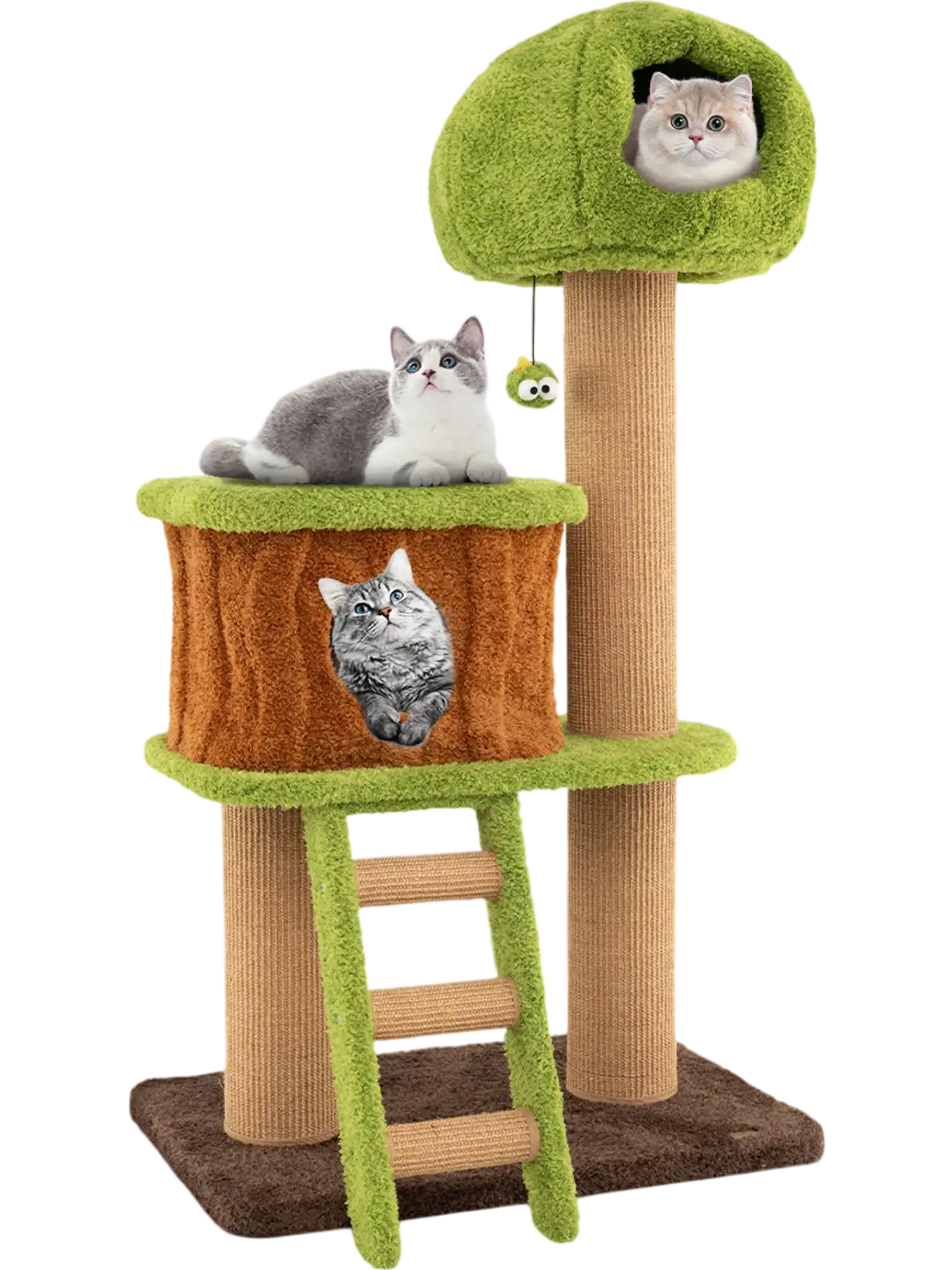 Costway Cute Indoor Cat Tree Mushroom Nest Condo Climbing Ladder Green 728951643 New