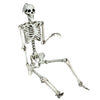 Realistic 5.4-foot Halloween skeleton seated, featuring movable joints for versatile spooky decorations indoors or.