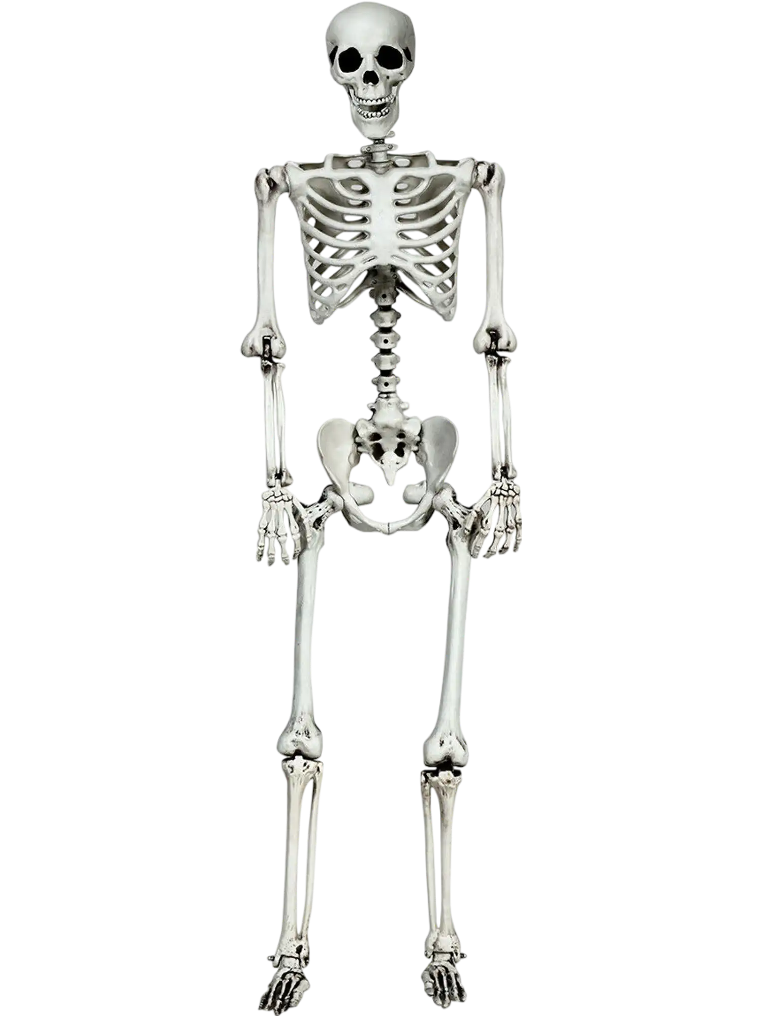 Costway 5.4' Life Size Realistic Full Body Hanging Halloween Skeleton 83590624 New