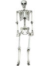 5.4 Feet Halloween Skeleton Life Size Realistic Full Body Hanging