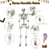 Life-size 5.4-foot Halloween skeleton with movable joints, perfect for spooky decorations at parties and outdoor scenes.