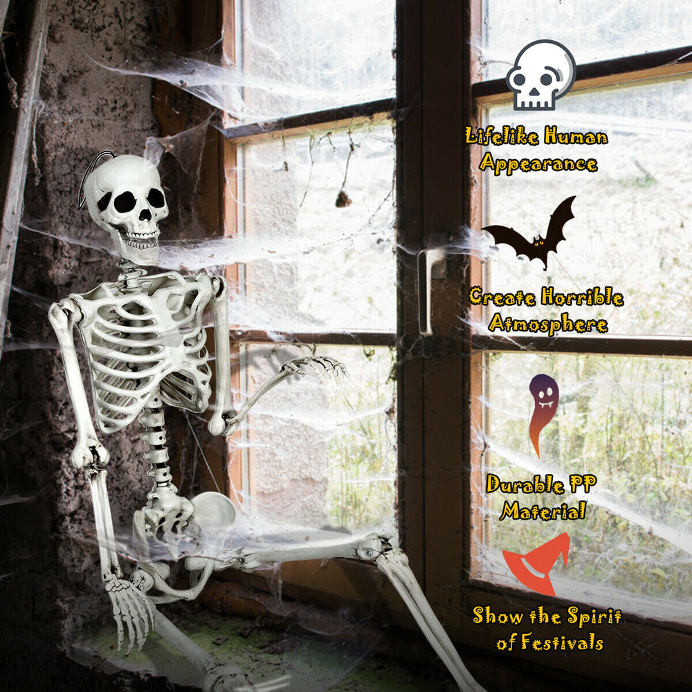 Life-size 5.4-foot Halloween skeleton with movable joints, made of durable PP material for spooky indoor and outdoor.