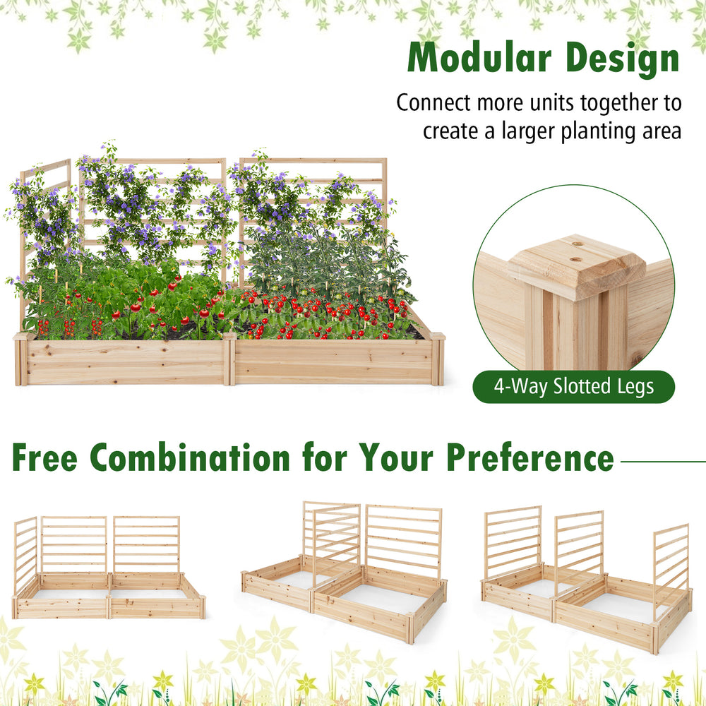 Raised garden bed with 2 planter boxes and 3 trellises made of natural fir wood, perfect for diverse plant growth.