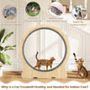 Large 40-inch cat exercise wheel in natural wood, designed for indoor cats to enhance exercise and prevent obesity.