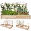 Raised garden bed with two planter boxes and three trellises, made of durable natural fir wood for diverse plant growth.