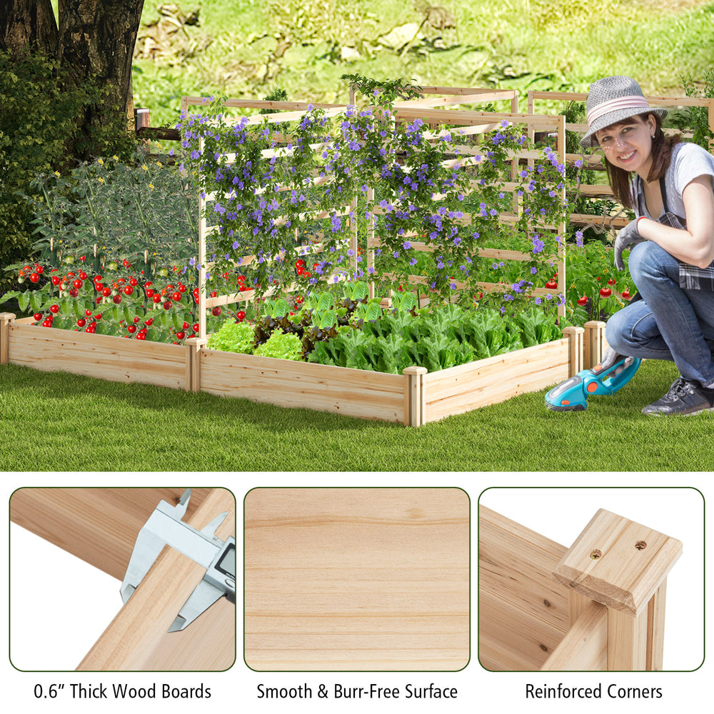 Raised garden bed with two planter boxes and three trellises, made of durable fir wood for versatile planting options.