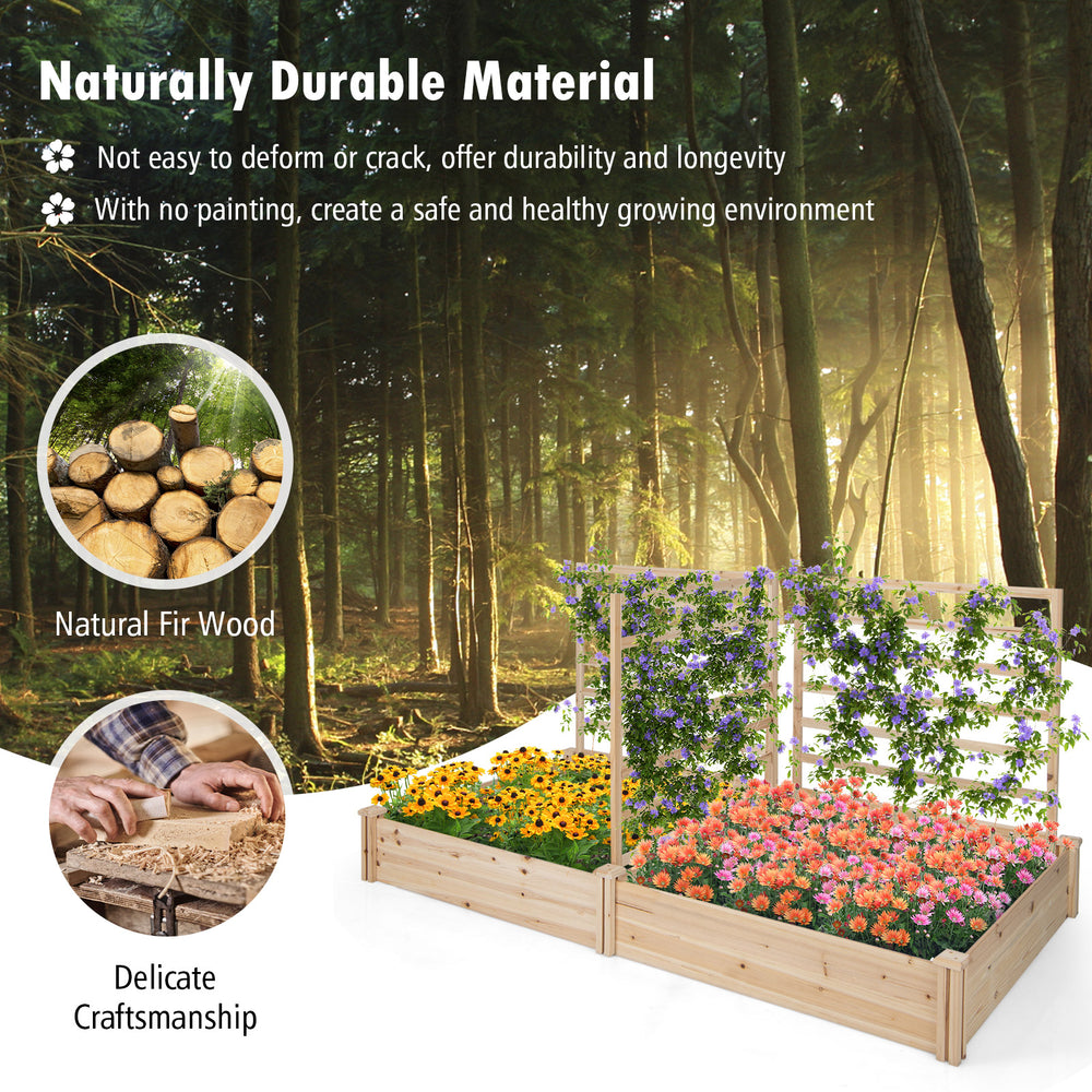 Raised garden bed with two planter boxes and three trellises made of natural fir wood for diverse planting options.