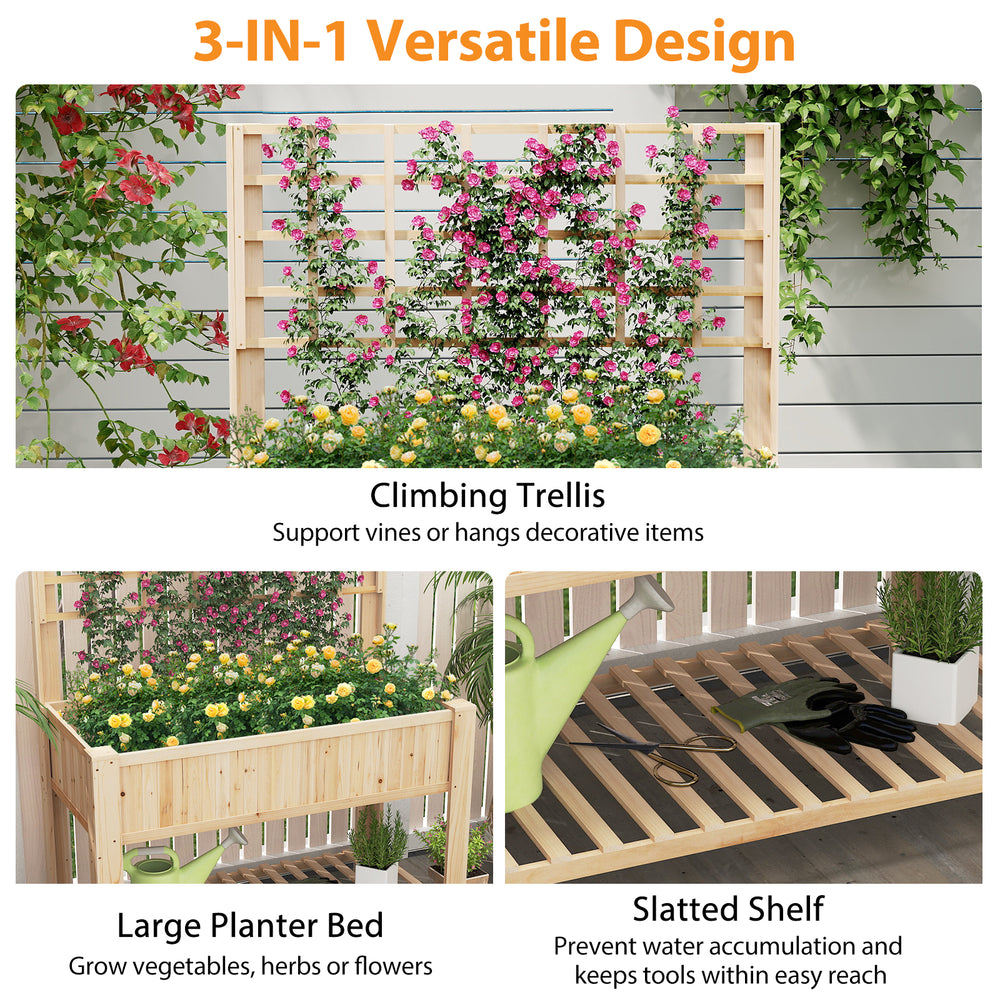 Climbing trellis and large planter bed of the wooden elevated planter box for growing vegetables and herbs.