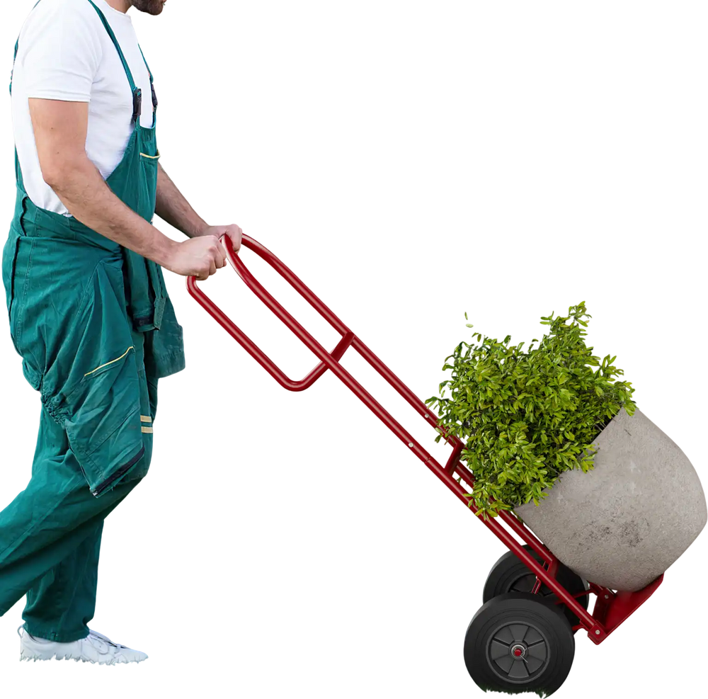 P-handle sack truck in red with 10-inch wheels, transporting a large potted plant for easy maneuvering in the garden.