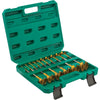 Grizzly PRO T33695 - Titanium Coated Hex Shank Forstner Bit Set, 16 Pc. 1/4" - 2-1/8"