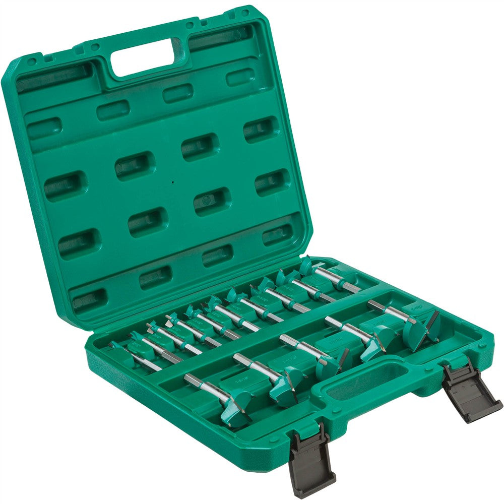 Grizzly PRO T33698 - 15 Pc. Tungsten Carbide Hex Shank Forstner Bit Set, 5/16" - 2-1/16"