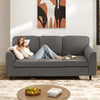 Gray upholstered teddy velvet 3-seat sofa with comfy back pillows, perfect for living rooms and cozy seating.