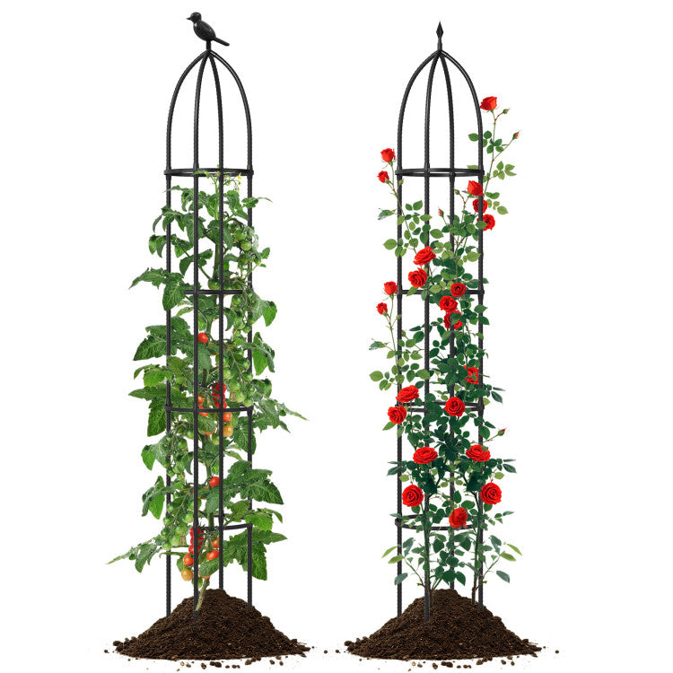 Metal garden arch and obelisk trellis set for climbing plants, featuring rustproof metal construction and elegant.