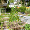A-Frame garden trellis in green supporting climbing plants, featuring a ground stake and cable tie for stability.