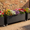 Set of 2 raised garden bed planter boxes made of PE rattan, featuring wheels for easy mobility and vibrant flowers.
