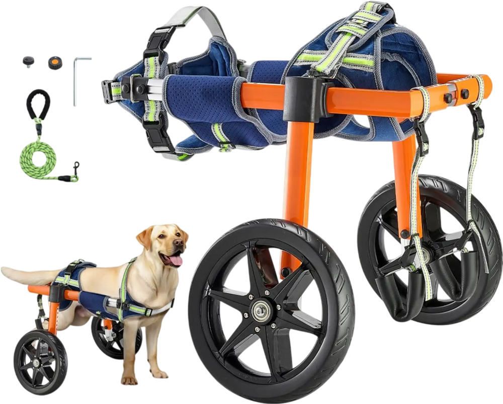 VEVOR Dog Wheelchair for Back Legs, Lightweight 2 Wheels Pet Wheelchair, Height, Width & Length Adjustable, Dog Cart with Shock-Absorbing Wheels, for Injured, Disabled Dogs 35-48 lbs, Medium