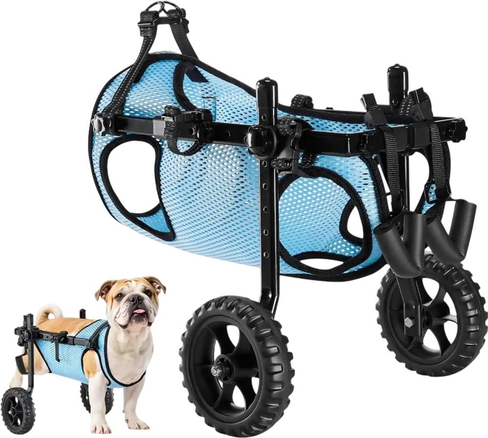 VEVOR Dog Wheelchair for Back Legs, Adjustable 2 Wheels Pet Wheelchair, Lightweight  Dog Cart with Shock-Absorbing Wheels, Mobility Support Wheel Chair for Disabled Injured Dogs up to 33lbs, Medium
