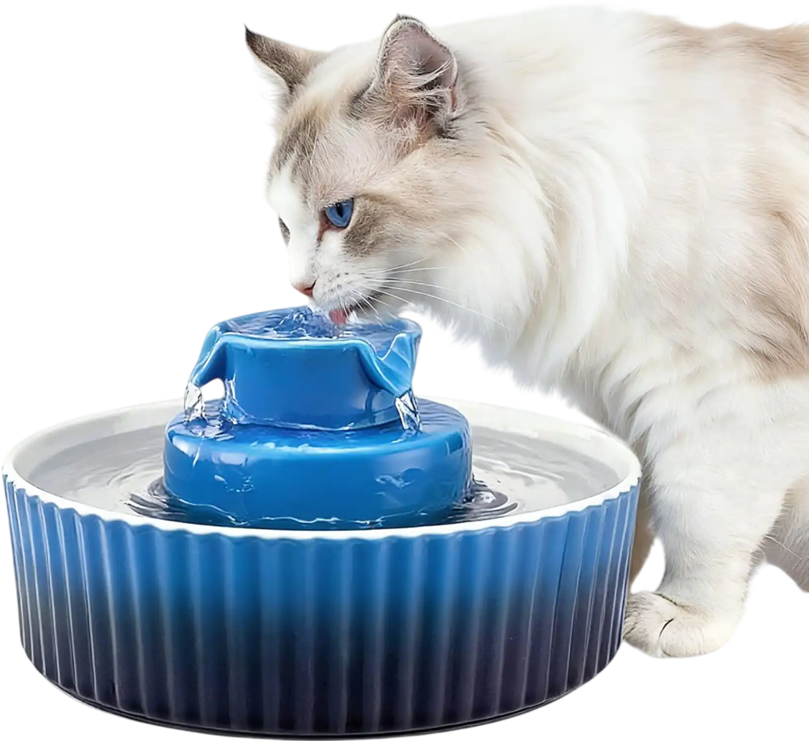 Vevor Pet Water Fountain Ceramic 2.1L 71oz Cupcake Blue New