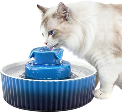 Vevor Pet Water Fountain Ceramic 2.1L 71oz Cupcake Blue New