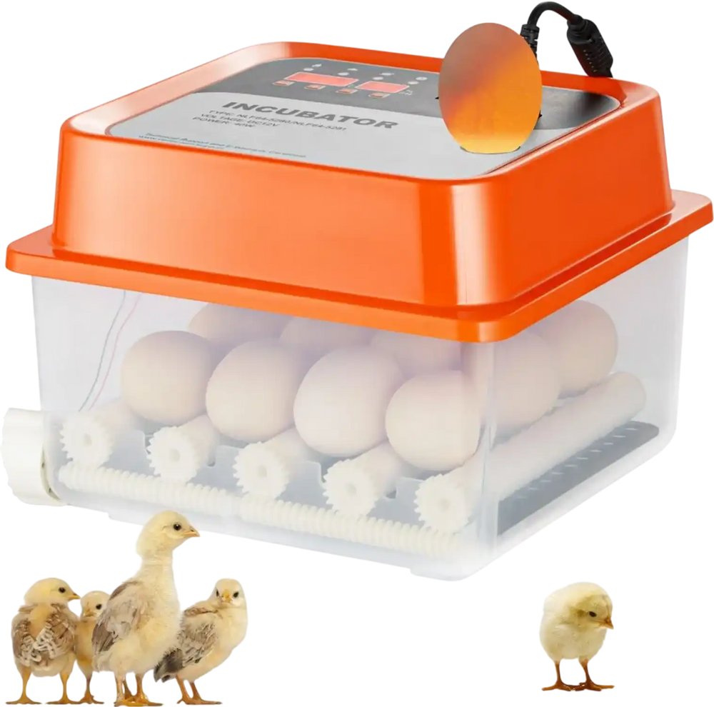 VEVOR Egg Incubator, Incubators for Hatching Eggs, Automatic Egg Turner with with Temperature and Humidity Control, 12 Eggs Poultry Hatcher with ABS Transparent Shell for Chicken, Duck, Quail