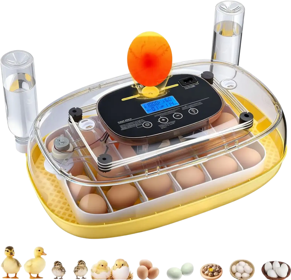 VEVOR 24 Egg Incubator, Automatic Egg Turner with LED Candler, Temperature & Humidity Control, 360° View Clear Window, Auto Water Refill, Poultry Eggs Incubators for Hatching Chicks Ducks Goose Quail