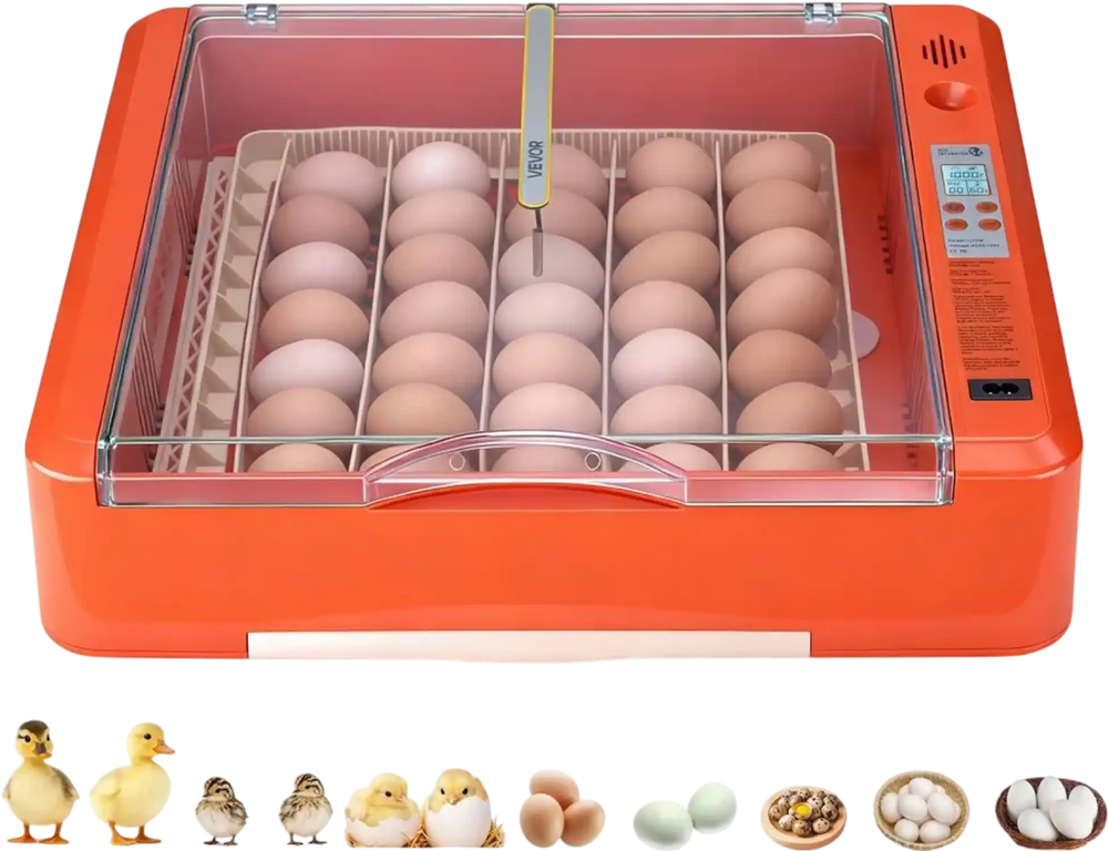 VEVOR 36 Egg Incubator, Automatic Egg Turner with LED Candler & Water Tray, Temperature & Humidity Control, 360° View Clear Window, Poultry Eggs Incubators for Hatching Chicks Ducks Goose Quails