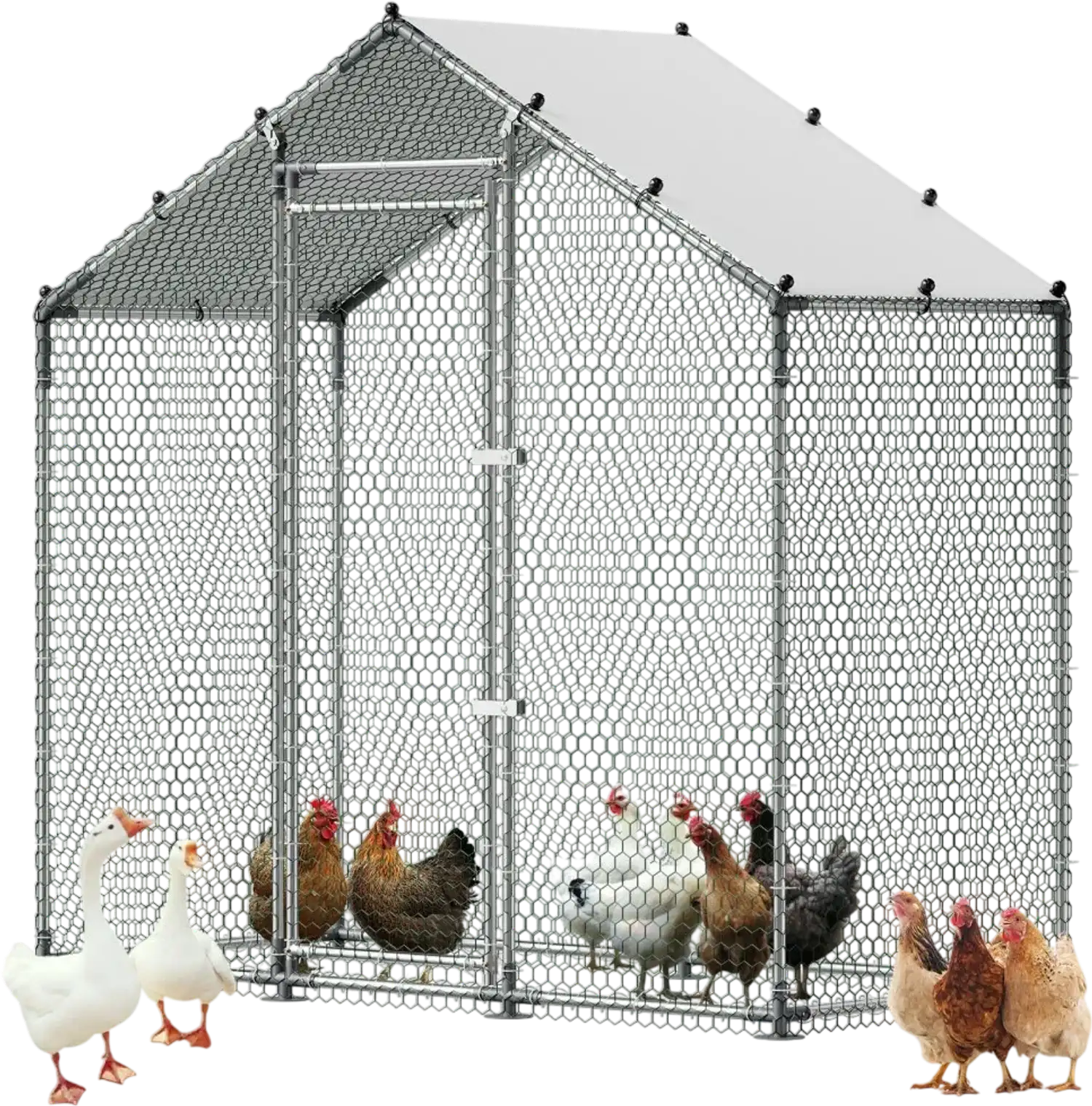 Vevor Metal Chicken Coop Walk-In 6.6 x 3.3 x 6.6' Spire Roof with Waterproof Cover New