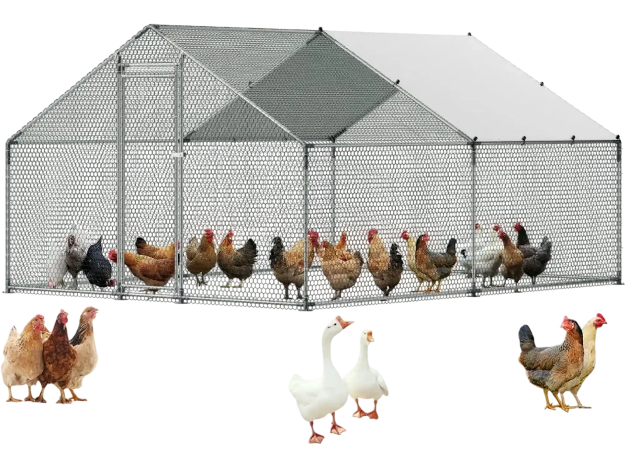 Vevor Chicken Coop Large Walk-In Spire Roof Metal Poultry Pen with Waterproof Cover 9.8' x 13.1' x 6.6' New