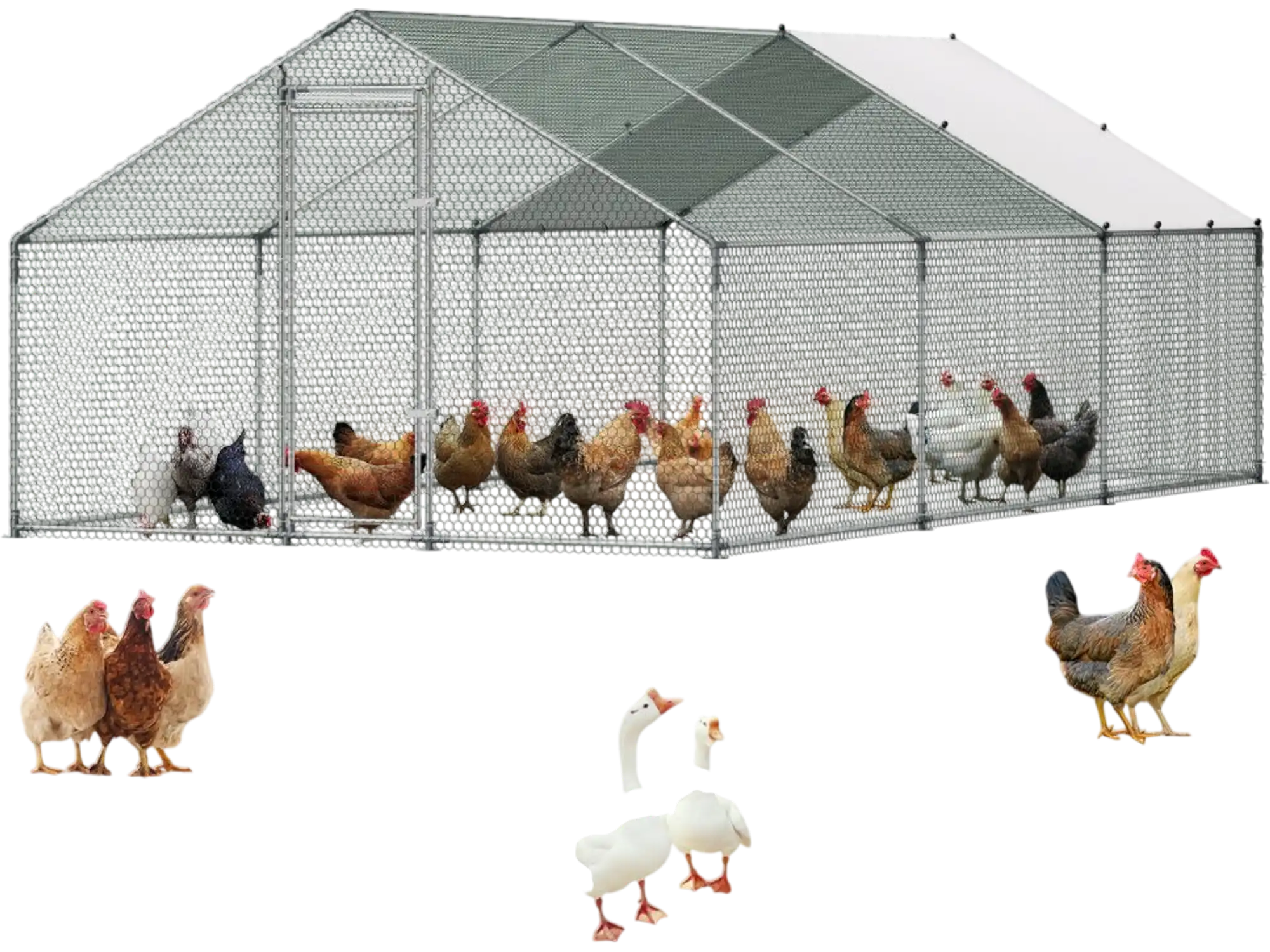 Vevor Chicken Coop 9.8' x 19.5' Walk-In Spire Roof Metal Run House New