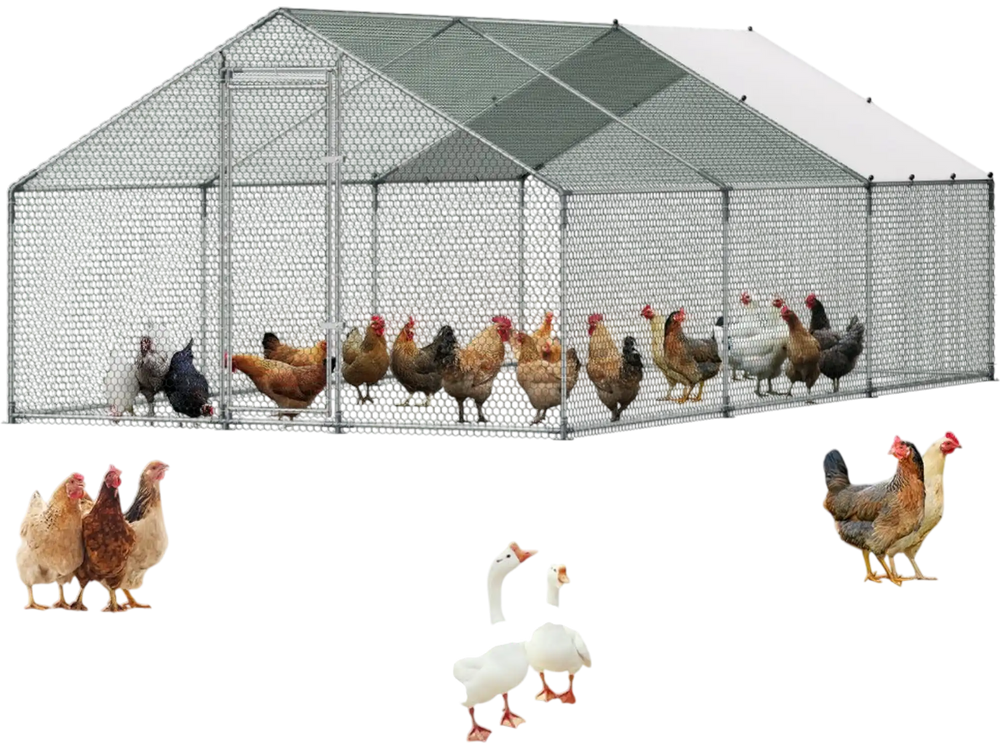 VEVOR Large Metal Chicken Coop 9.8x19.5x6.6 ft Walk-in Chicken Run House, Spire Roof Hen House Enclosure with Cover and Security Lock, Outdoor Duck Rabbit Cage Poultry Pen for Backyard, Farm, Yard
