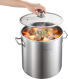 VEVOR Stainless Steel Stock Pot, 21-Quart Stainless Steel Stockpot with Glass Lid, PFOA-Free, PFAS-Free, Compatible with Gas Stoves, Induction Cooktops, Electric Stoves, for Soups, Stews, and Pasta