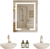 VEVOR Lighted Medicine Cabinet with Mirror, 20 x 26 in Recessed or Wall Mount, 3 Color Dimmable LED Bathroom Medicine Cabinet with Double-Side Mirror, Adjustable Shelves, Memory Anti-Fog Function