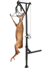 VEVOR Truck Hitch Game Hunting Hoist, 600 lbs Load Capacity, Hitch Mounted Deer Hoist with Winch Lift Gambrel Set, 2" Hitch Receiver, Foot Base, Adjustable Height & 360 Degrees Swivel, Carbon Steel