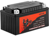 VEVOR Motorcycle Battery, 12 Volt 4Ah, LiFePO4 Lithium Pre-Charged Powersports Battery, Maintenance Free & High Performance, Compatible with ATV, Motorcycle, Jet Skis, Scooter, UTV, and More