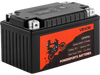 VEVOR Motorcycle Battery, 12 Volt 6Ah, LiFePO4 Lithium Pre-Charged Powersports Battery, Maintenance Free & High Performance, Compatible with ATV, Motorcycle, Jet Skis, Scooter, UTV, and More
