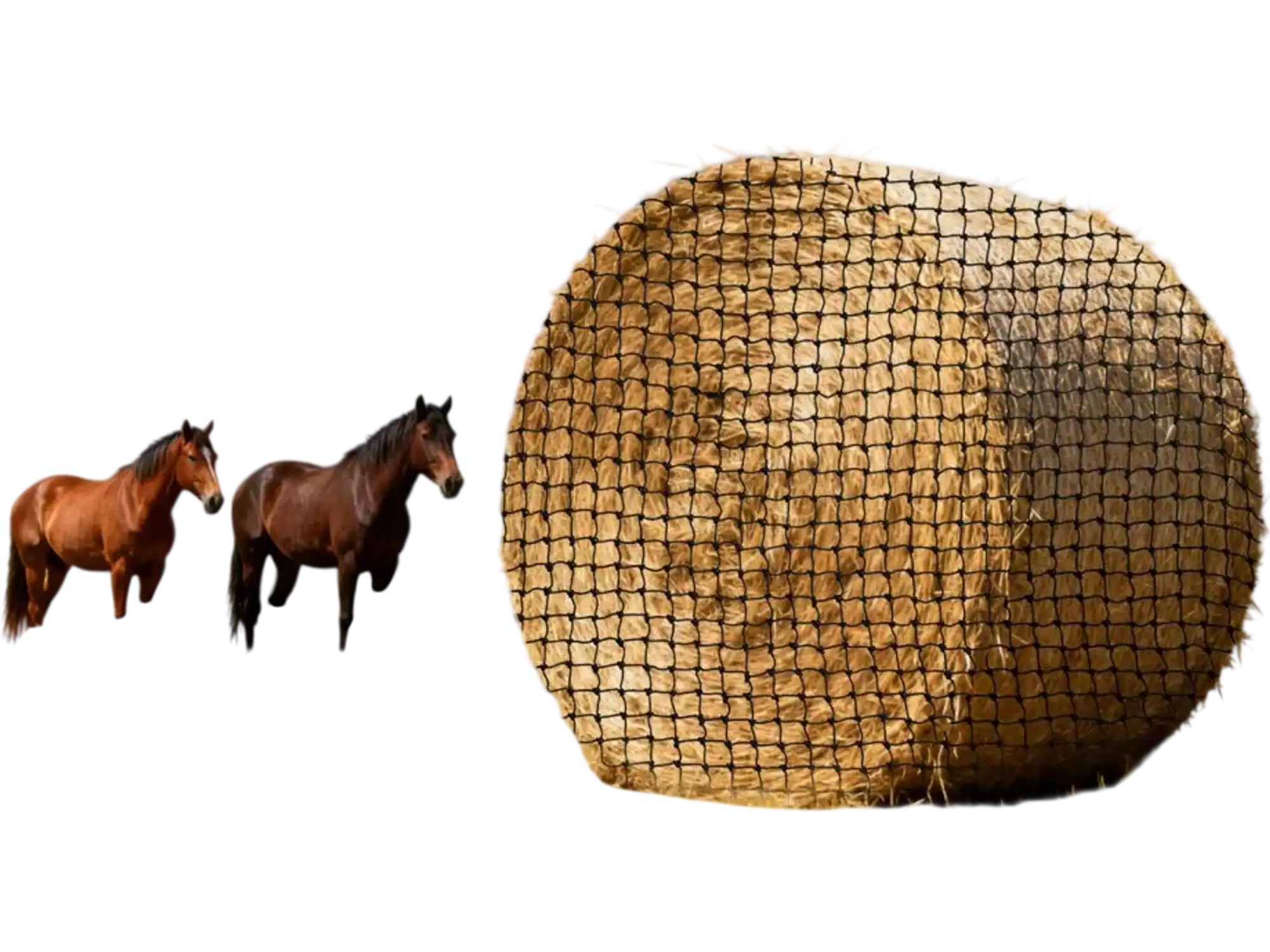 Vevor Free-Standing Hay Net Round Bale Slow Feeder 4.92 x 4.92 x 4.92' New