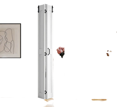 Vevor Bifold Barn Door 24
