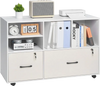 VEVOR 2 Drawer Wooden File Cabinet, Mobile Filing Cabinet with Open Shelves, Lockable Lateral Rolling File Storage with Adjustable Shelves, Free Standing Printer Stand for Home Office School, White