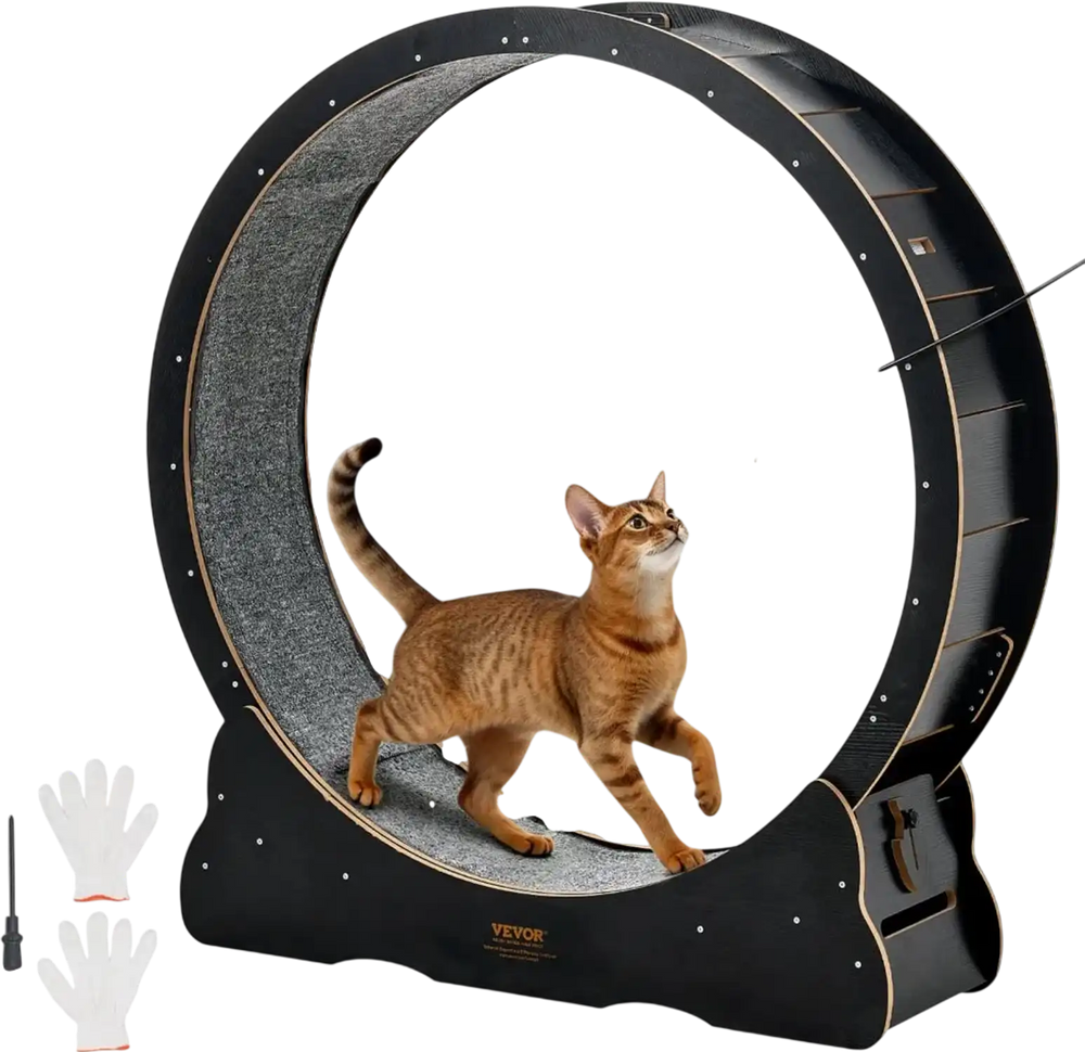 VEVOR Cat Exercise Wheel, 48 in Wooden Cat Running Wheel for Indoor Cats up to 28 lbs, Cats Treadmill with Carpeted Runway & Locking Mechanism, Quiet Kitten Sport Toys for Pets Fitness & Health, Black