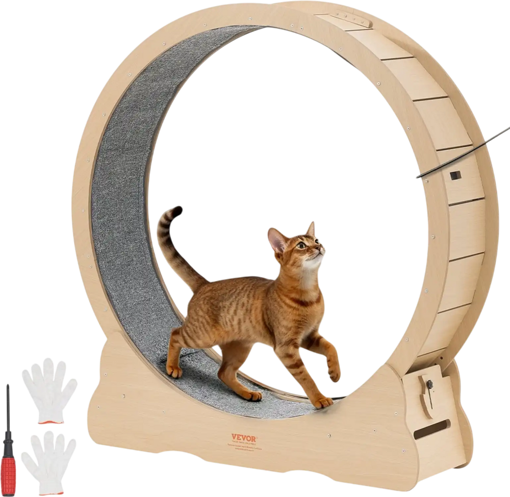 VEVOR Cat Exercise Wheel, 48 in Wooden Cat Running Wheel for Indoor Cats up to 28 lbs, Cats Treadmill with Carpeted Runway & Locking Mechanism, Quiet Roller Kitten Sport Toys for Pets Fitness & Health