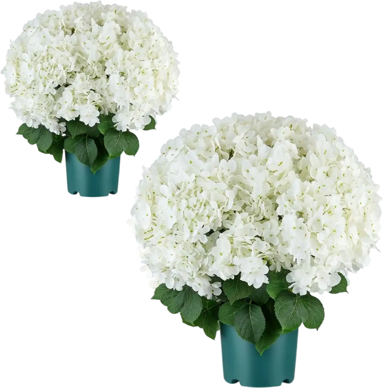 Vevor Artificial Potted Hydrangeas White 20